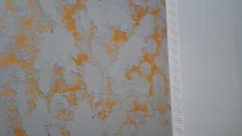 Alma online show from April 2026 02:18:02 PM