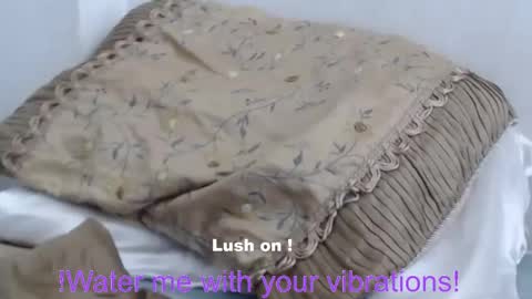 0918vj online show from February 2025 09:29:01 PM