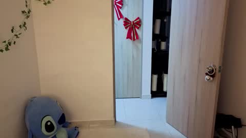 Steven  e online show from December 2025 11:55:02 PM