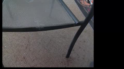 10mm_socket online show from September 2025 01:33:02 AM