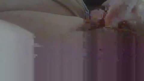 Snapshot of 10thtry chatting on February 2026 04:37:02 PM Donner online show from February 2026 04:37:02 PM