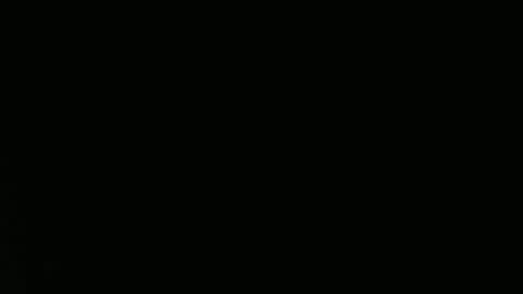 Aurora Willows online show from April 2026 04:45:01 PM