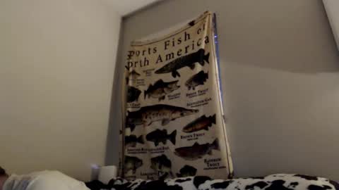 Snapshot of 18str8igcock chatting on November 2025 10:56:02 PM 18str8igcock online show from November 2025 10:56:02 PM