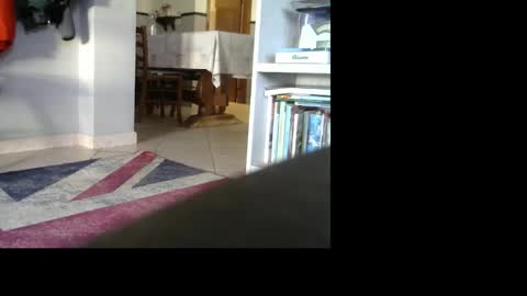 Snapshot of 1italianpassionate chatting on December 2024 03:02:01 PM 1italianpassionate online show from December 2024 03:02:01 PM