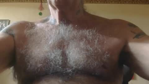 Pizza online show from December 2025 11:19:01 AM