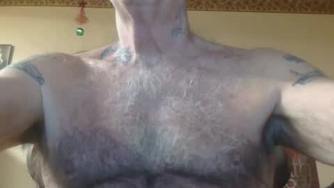 Pizza online show from December 2025 12:21:02 PM