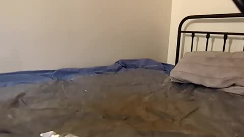 Snapshot of 1toxiclust chatting on November 2025 02:36:01 AM 1toxiclust online show from November 2025 02:36:01 AM