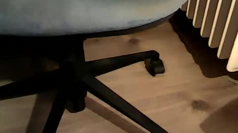 1vaso online show from December 2024 07:01:02 PM