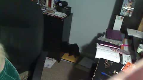 Susan online show from December 2025 01:01:02 AM