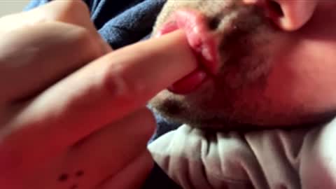 2025rob online show from March 2026 10:28:02 AM