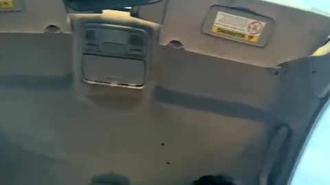 23havefunwitme online show from February 2025 12:43:01 AM