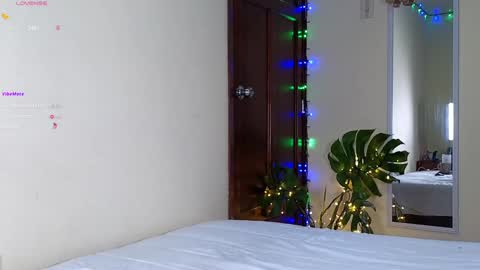 2cbutterfly online show from January 2025 07:38:02 AM