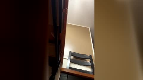 Snapshot of 33adidas chatting on January 2026 09:12:01 AM 33adidas online show from January 2026 09:12:01 AM