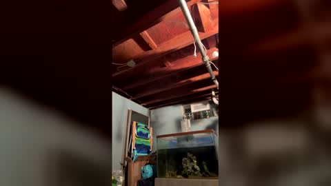 33adidas online show from March 2026 08:26:33 AM