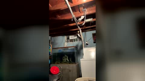 33adidas online show from April 2026 08:29:02 AM