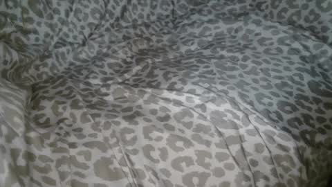 Snapshot of 3rdshiftphil chatting on September 2025 01:41:02 AM Phil online show from September 2025 01:41:02 AM