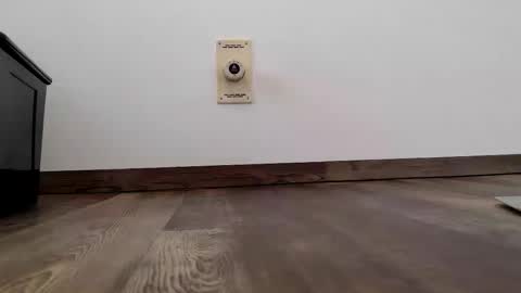 Snapshot of 555888000 chatting on January 2026 11:04:02 AM Steven online show from January 2026 11:04:02 AM