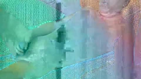 Snapshot of 56funleo chatting on October 2025 04:51:02 PM Daddy online show from October 2025 04:51:02 PM