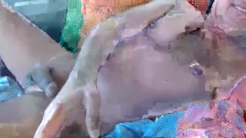 Snapshot of 56funleo chatting on November 2025 10:59:02 PM Daddy online show from November 2025 10:59:02 PM