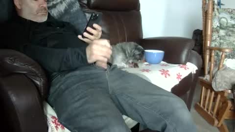 Snapshot of 66bear chatting on October 2025 05:47:03 PM 66bear online show from October 2025 05:47:03 PM