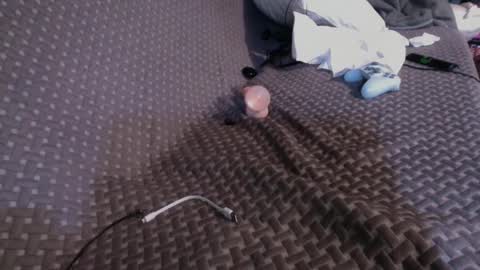 Snapshot of 69ass_tastic chatting on March 2025 04:53:01 PM Chris online show from March 2025 04:53:01 PM