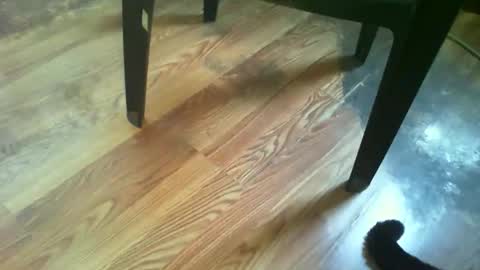 Snapshot of 69forever453443 chatting on November 2025 01:43:03 PM 69forever453443 online show from November 2025 01:43:03 PM