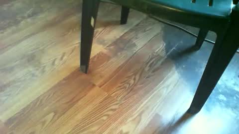 Snapshot of 69forever453443 chatting on November 2025 01:22:01 PM 69forever453443 online show from November 2025 01:22:01 PM