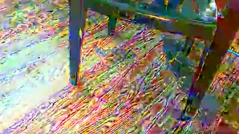 Snapshot of 69forever453443 chatting on November 2025 01:55:02 PM 69forever453443 online show from November 2025 01:55:02 PM