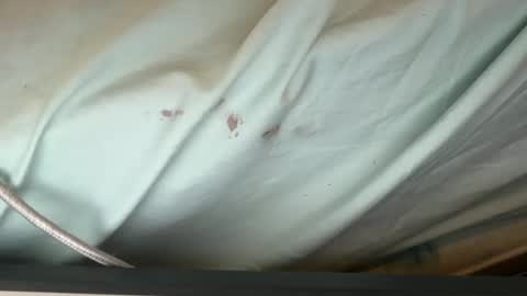 FUCKR online show from September 2025 08:14:01 AM