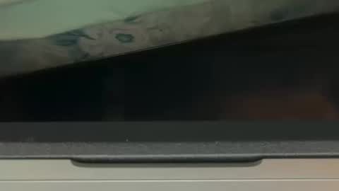 FUCKR online show from October 2025 08:06:01 AM