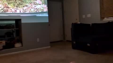 69singledad79 online show from March 2025 04:17:02 AM