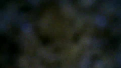 Lilu online show from June 2026 10:03:02 PM