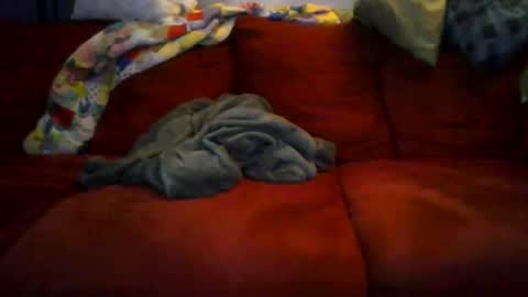 Snapshot of 77steve7777 chatting on December 2025 11:16:02 AM 77steve7777 online show from December 2025 11:16:02 AM