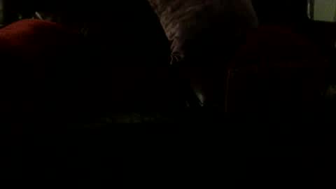 8inchjo online show from February 2026 06:39:02 AM