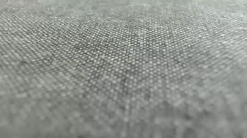 Snapshot of 9inchesreal chatting on October 2025 11:11:02 AM 9inchesreal online show from October 2025 11:11:02 AM