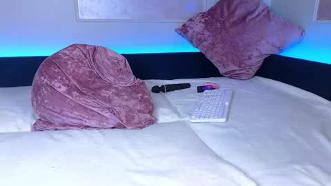 Snapshot of _a_n_n_y_ chatting on February 2025 12:16:01 PM Willow online show from February 2025 12:16:01 PM