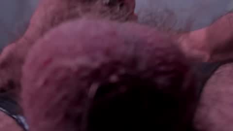 Snapshot of _adamcoper_ chatting on October 2025 03:40:01 PM _adamcoper_ online show from October 2025 03:40:01 PM