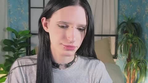 adrian online show from April 2026 12:17:02 PM