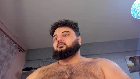 Snapshot of _alan_bear_ chatting on January 2025 12:28:02 PM Alan online show from January 2025 12:28:02 PM