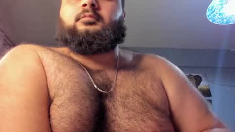 Snapshot of _alan_bear_ chatting on January 2025 03:32:01 PM Alan online show from January 2025 03:32:01 PM