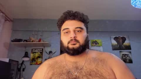 Snapshot of _alan_bear_ chatting on January 2025 09:05:02 PM Alan online show from January 2025 09:05:02 PM