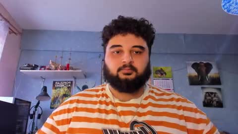 Snapshot of _alan_bear_ chatting on February 2025 09:53:02 AM Alan online show from February 2025 09:53:02 AM