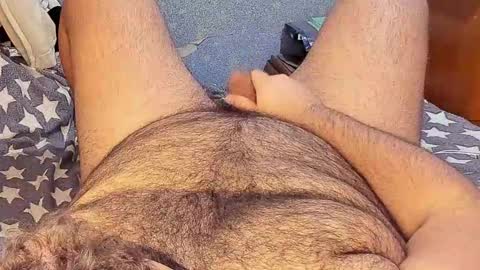 Snapshot of _alan_bear_ chatting on February 2025 03:17:02 PM Alan online show from February 2025 03:17:02 PM