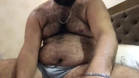 Snapshot of _alan_bear_ chatting on April 2026 05:47:02 PM Alan online show from April 2026 05:47:02 PM