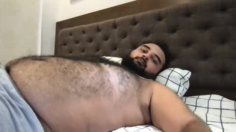 Snapshot of _alan_bear_ chatting on May 2026 05:57:02 AM Alan online show from May 2026 05:57:02 AM