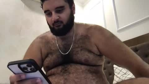 Snapshot of _alan_bear_ chatting on May 2026 07:48:01 AM Alan online show from May 2026 07:48:01 AM