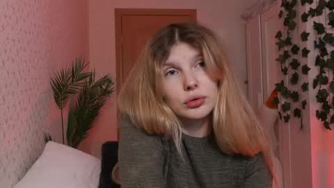 Alexa online show from December 2024 07:47:02 AM