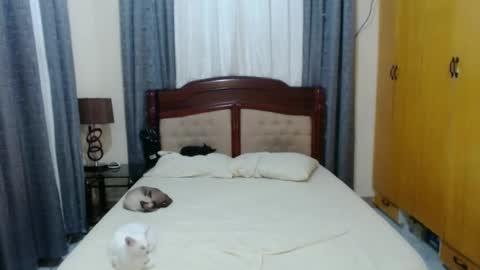 Amber online show from January 2025 05:39:01 PM