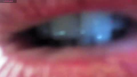 antonia online show from June 2026 07:26:02 PM