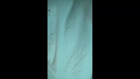 Snapshot of _atenea_golden chatting on February 2025 11:36:02 PM atenea online show from February 2025 11:36:02 PM